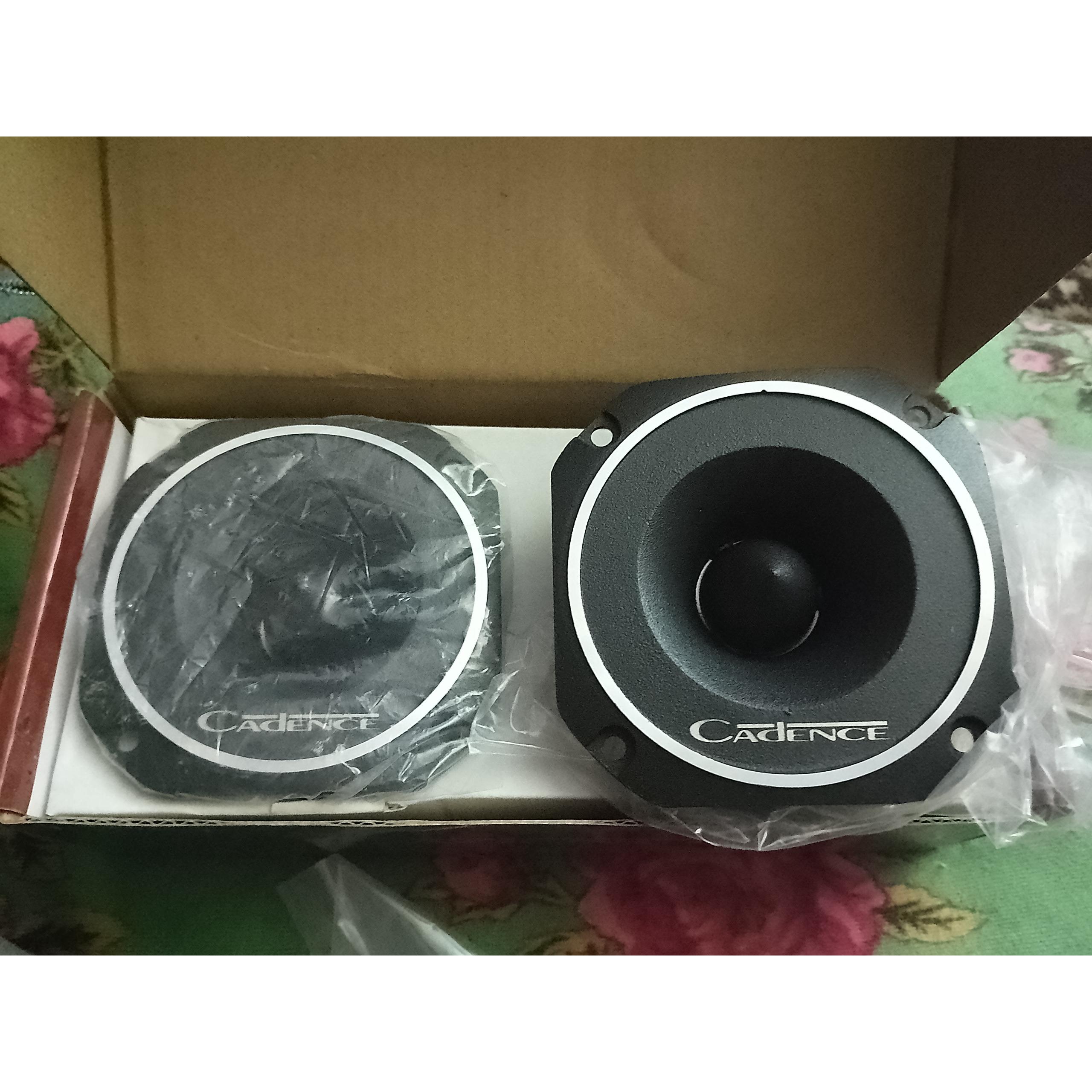 توییتر کدنس 100 وات rms