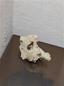 دکور