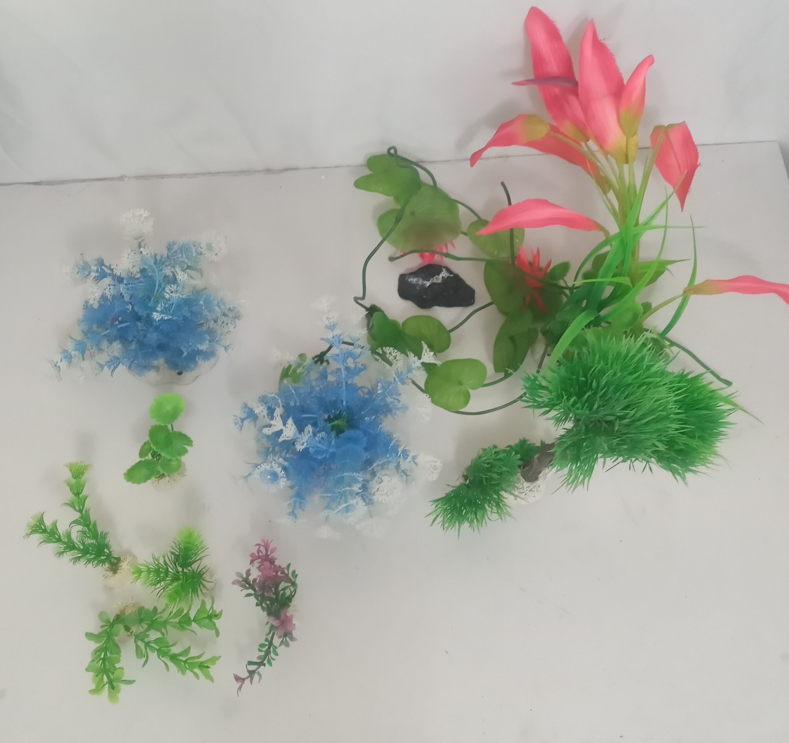 مجموعه ارزان قیمت گیاهان زینتی اکواریوم