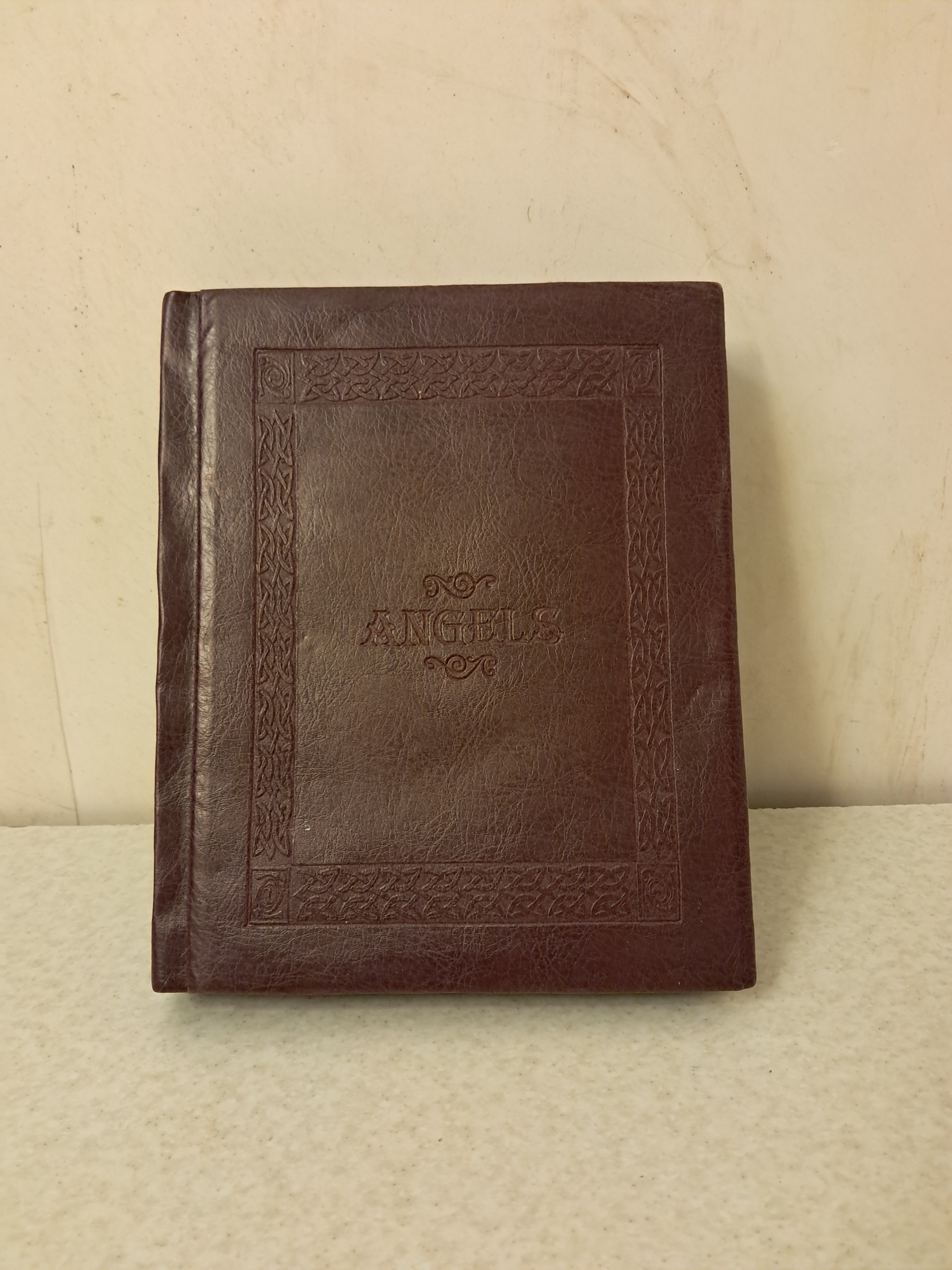 البوم عکس انجل