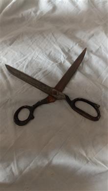 قیچی