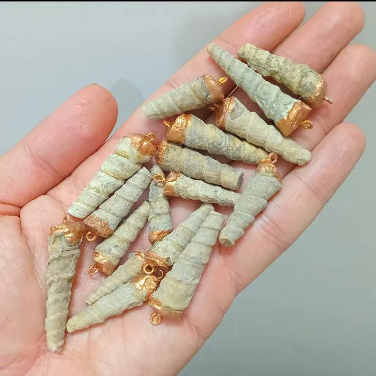 اویز گردنبند فسیل عرج سواحل اصلی وارداتی