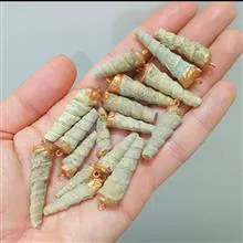 اویز
