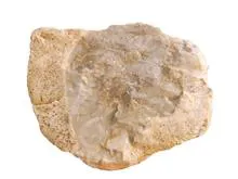 عقیق