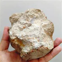 فسیل