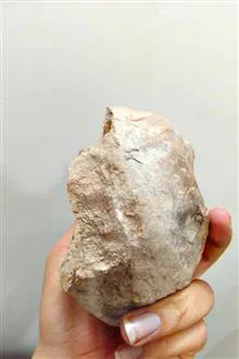 فسیل