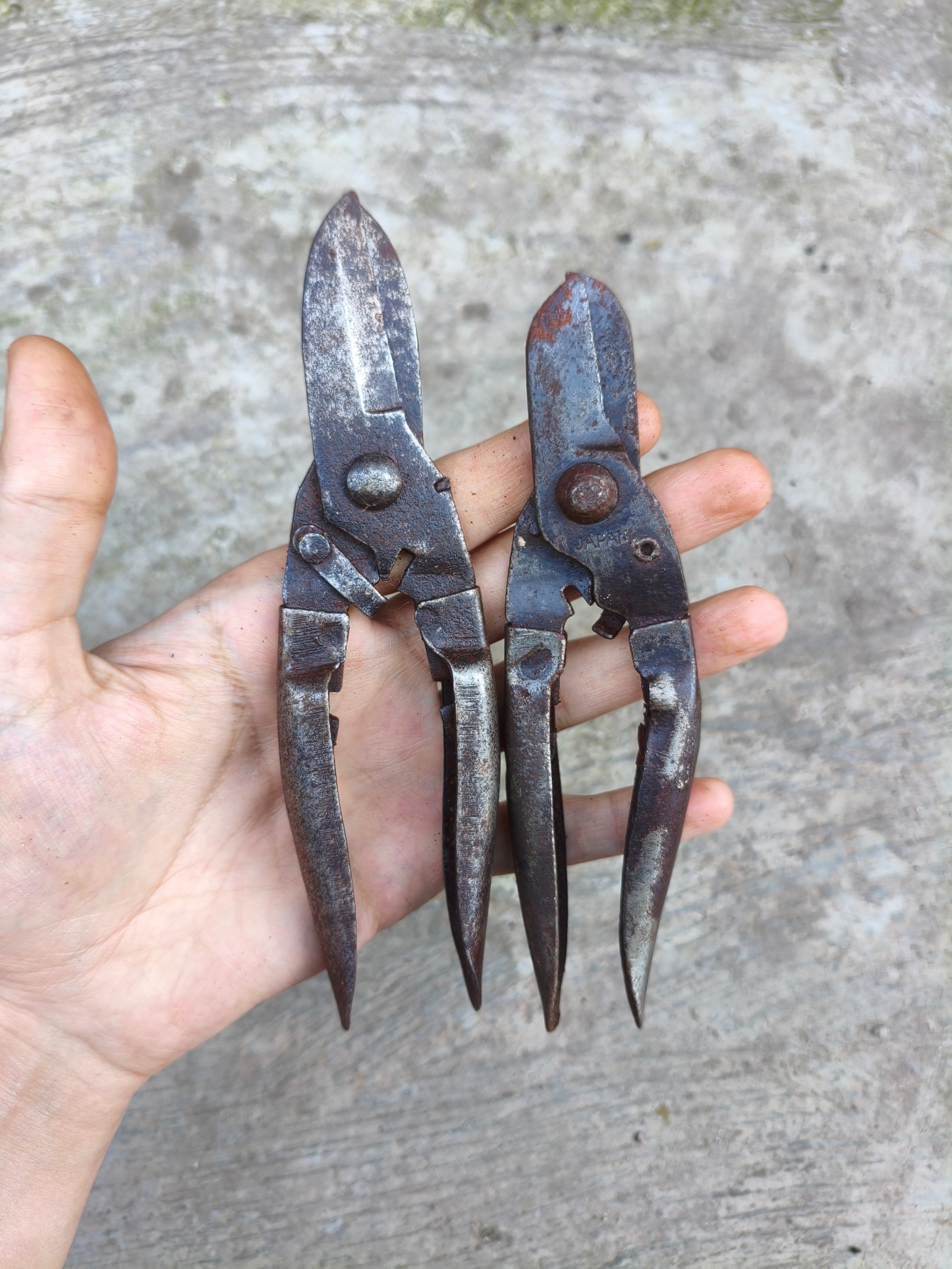 جفت قیچی قند شکن کلکسیونی ژاپن