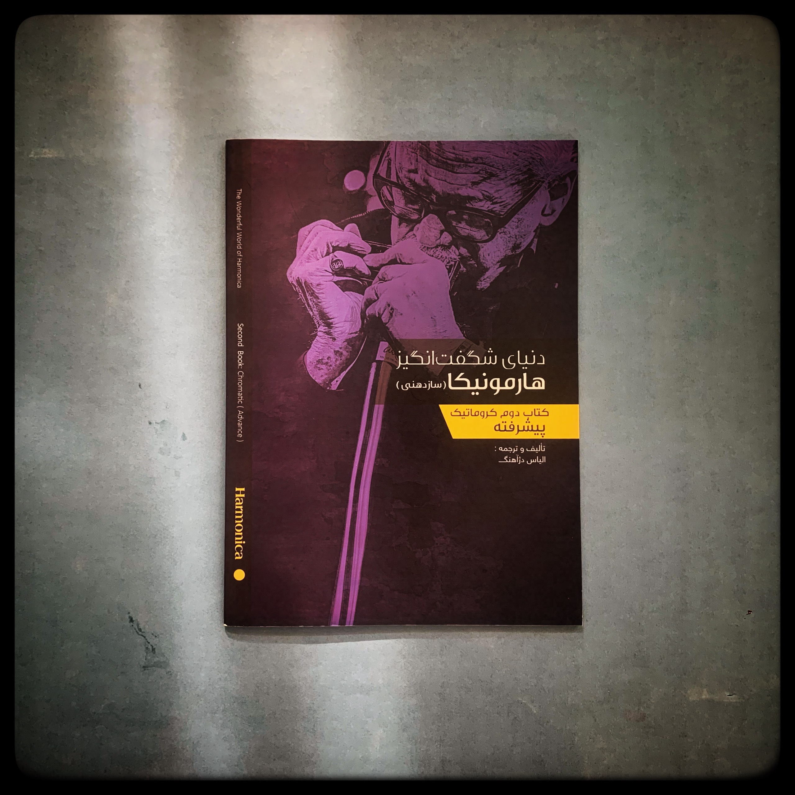 دنیای شگفت انگیز هارمونیکا (سازدهنی)