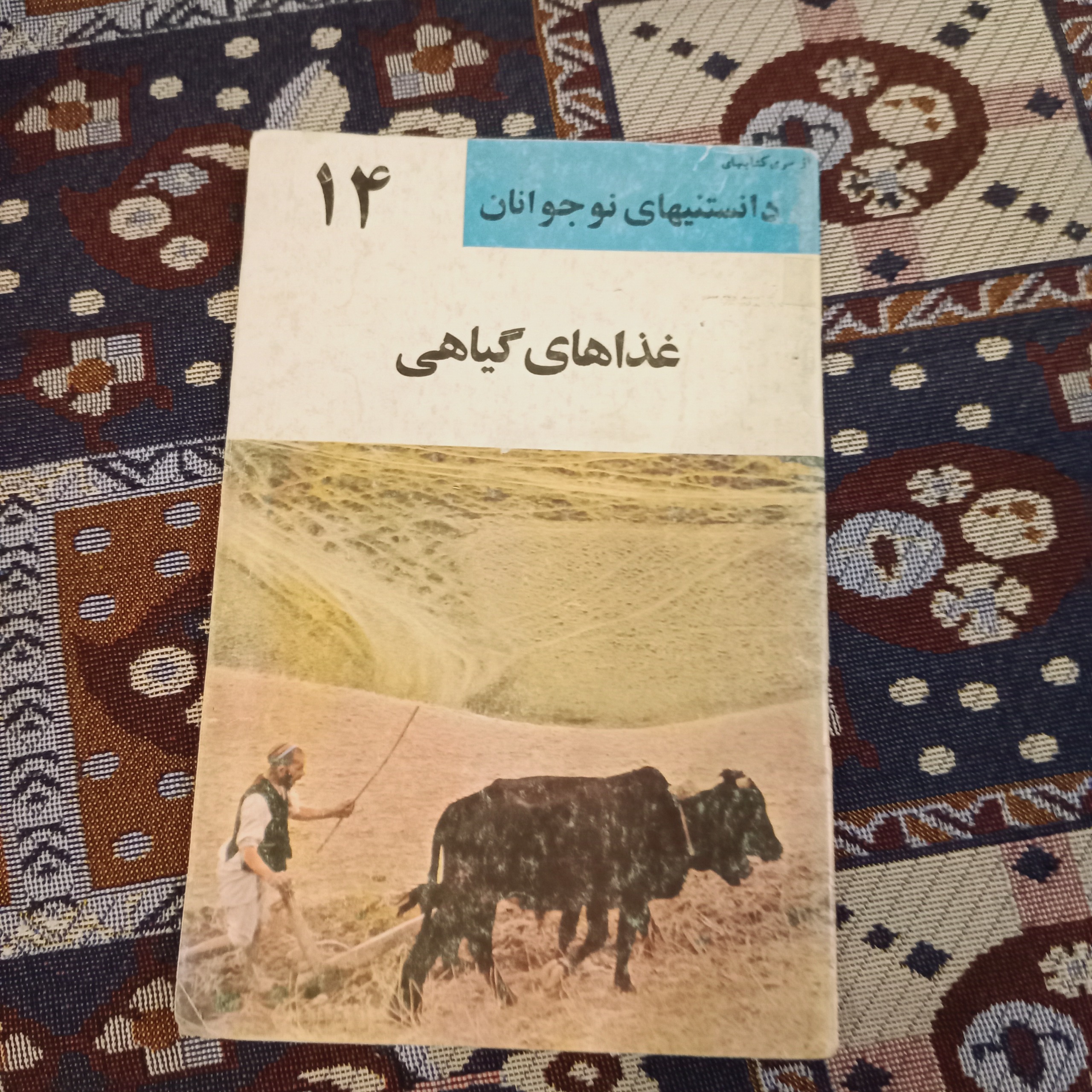 غذاهای گیاهی 14