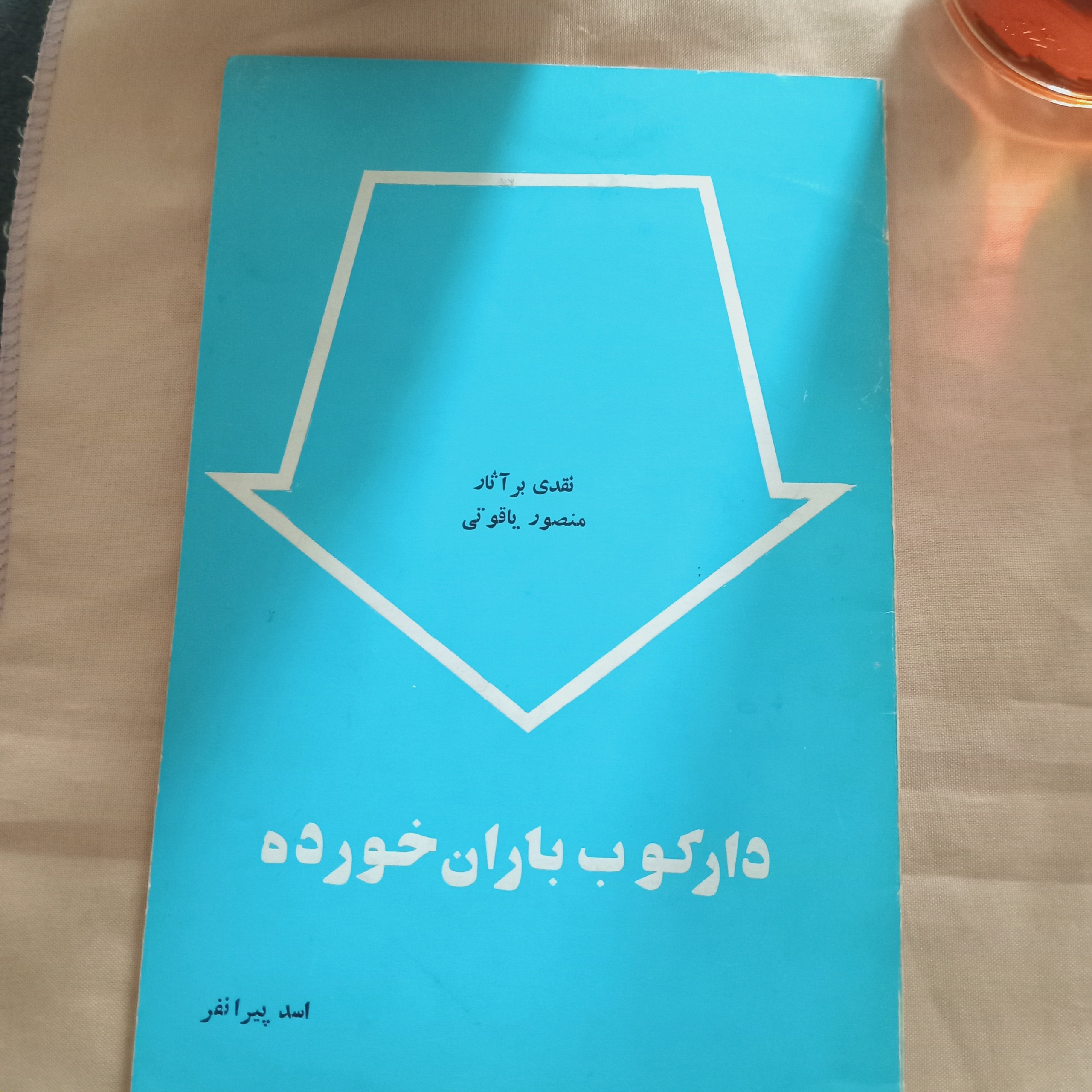 دارکوب باران خورده ( نقدی بر آثار منصور یاقوتی