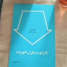 دارکوب