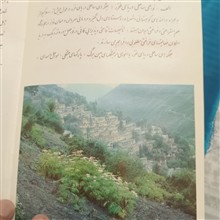 راهنمای