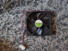 فن