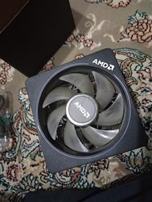 Amd