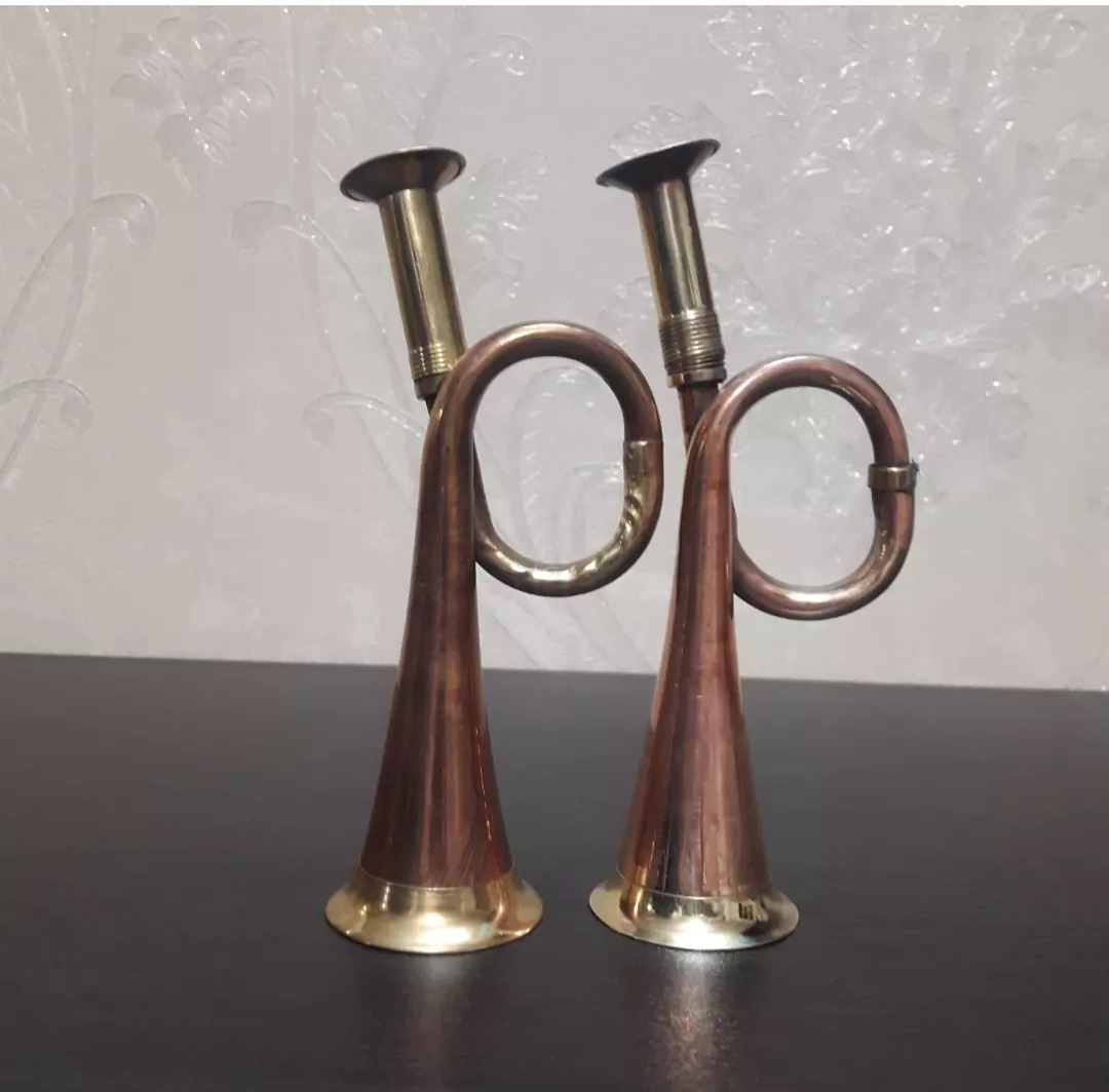 یک جفت شیپور خوش صدا فروش یکجا