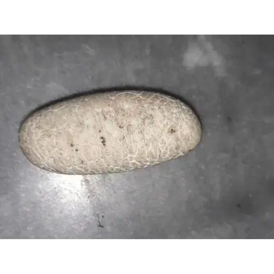 مهره قدیمی اصلی