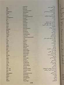 دیکشنری