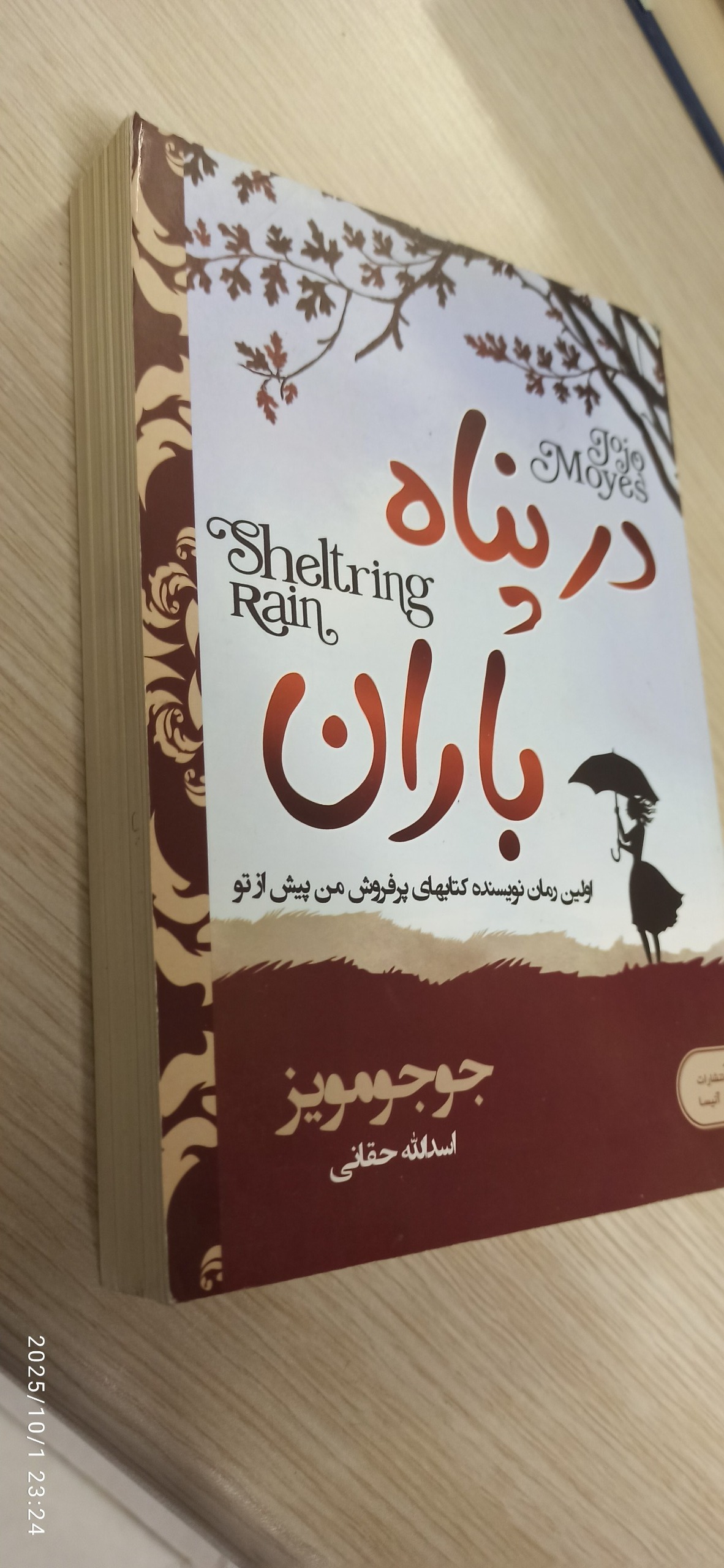 در پناه باران