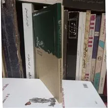 گزیده