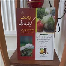 دایره