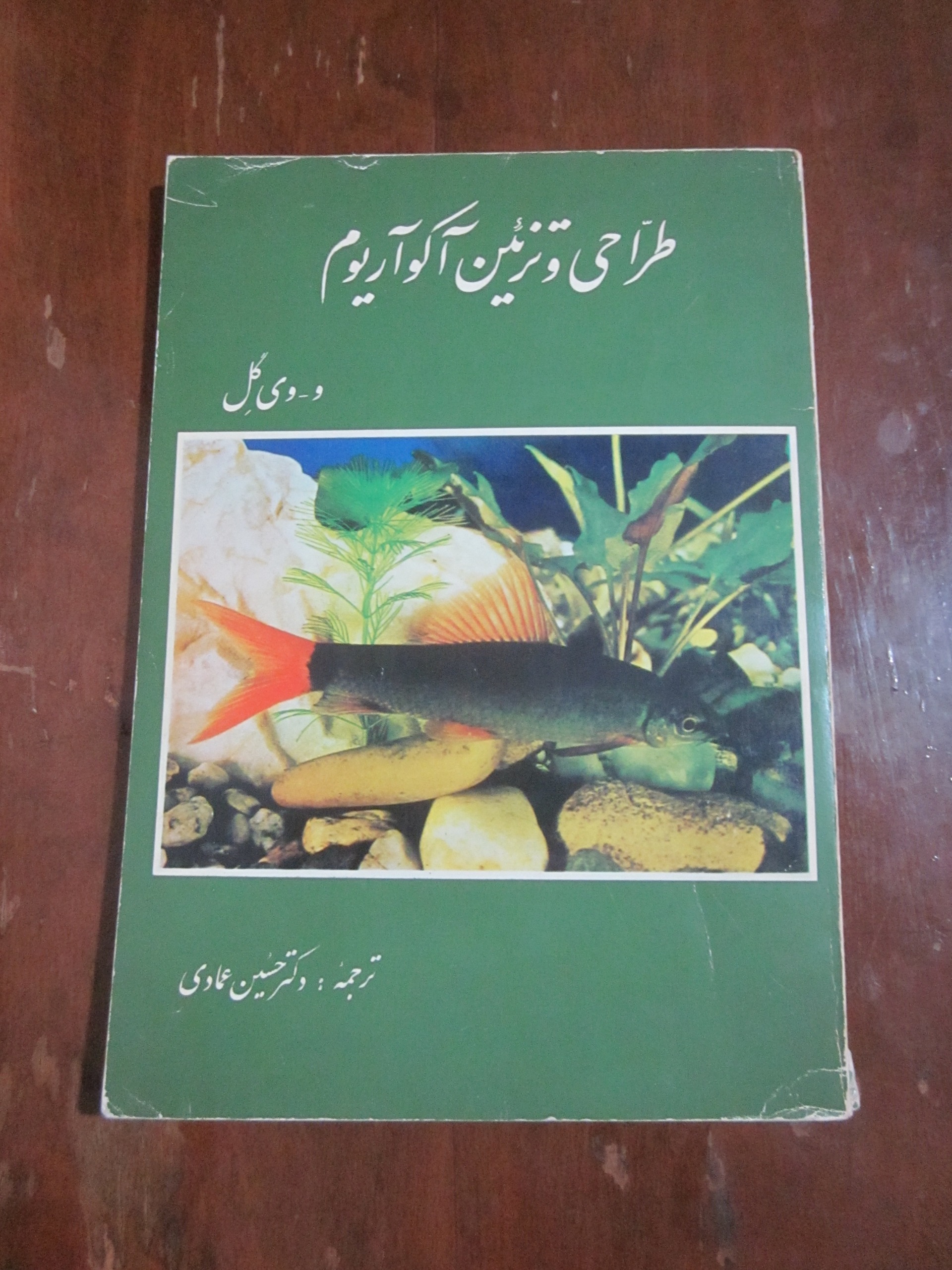 طراحی و تزئین آکواریوم