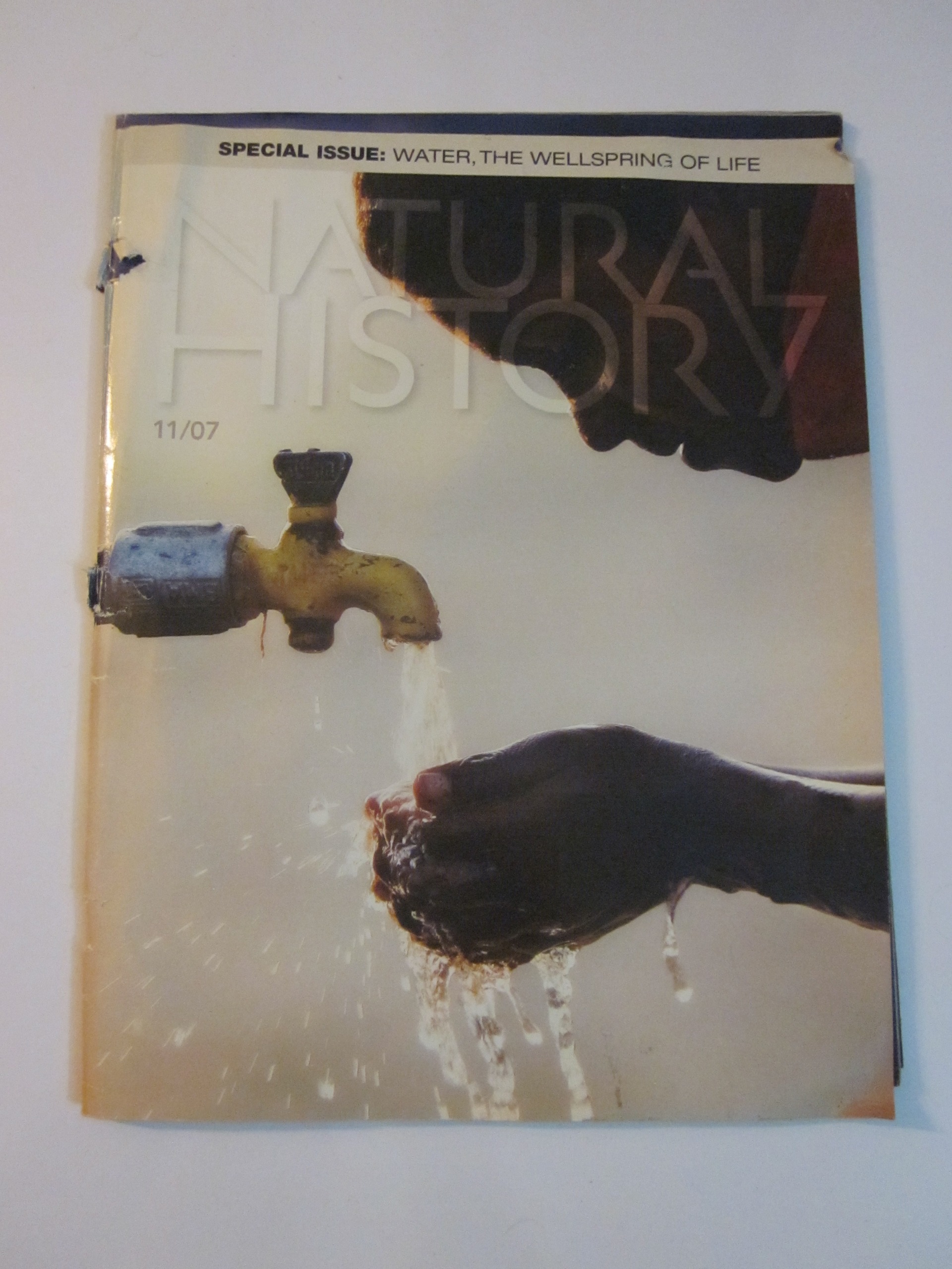 مجله تاریخ طبیعی (انگلیسی)