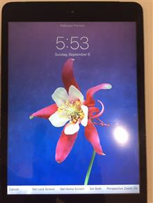 iPad