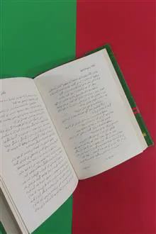 جوینده