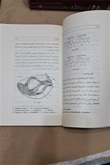 زیست