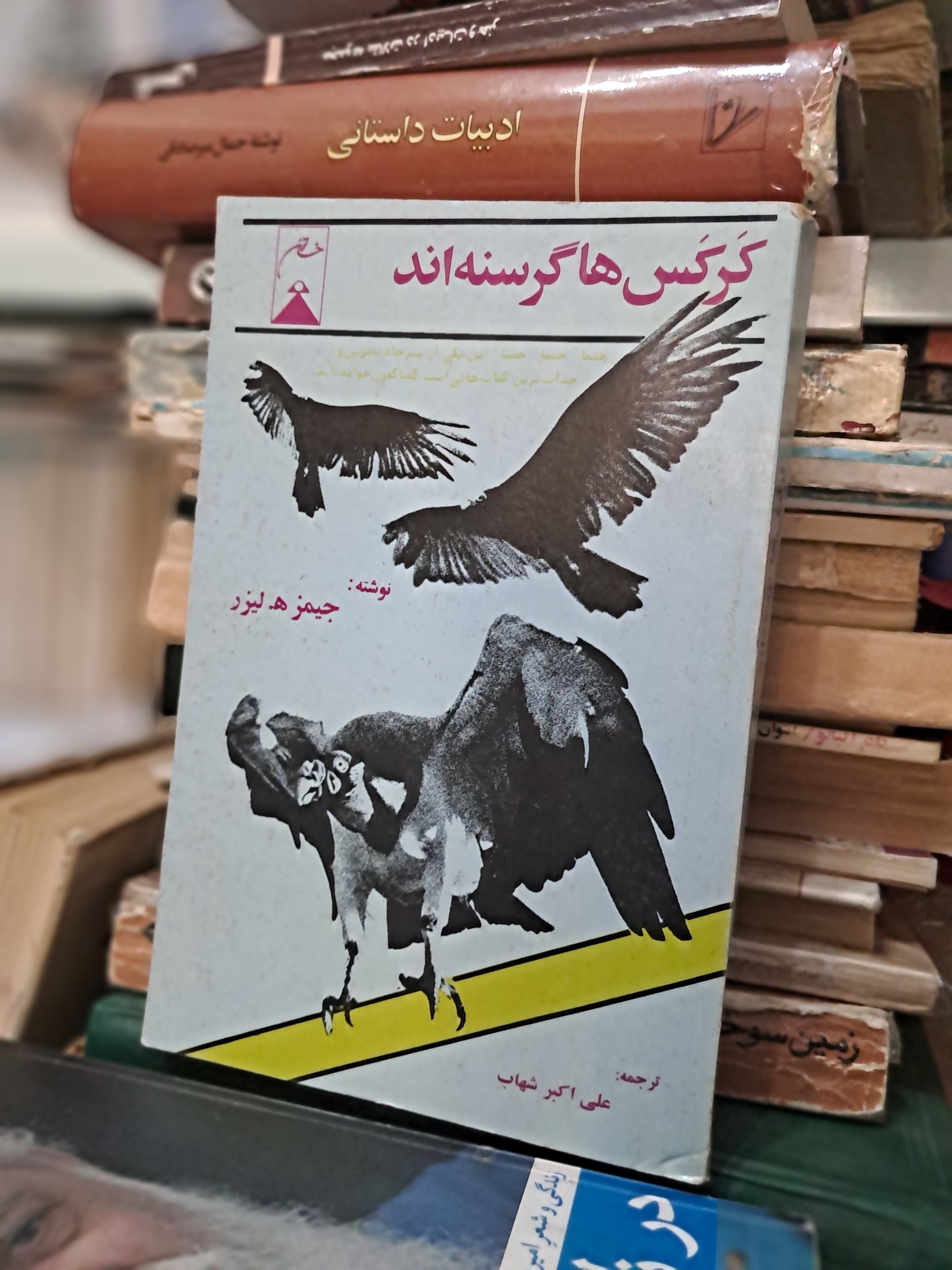 کرکس ها گرسنه اند