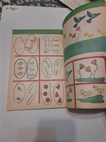 ریاضی