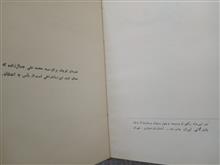 شباویز