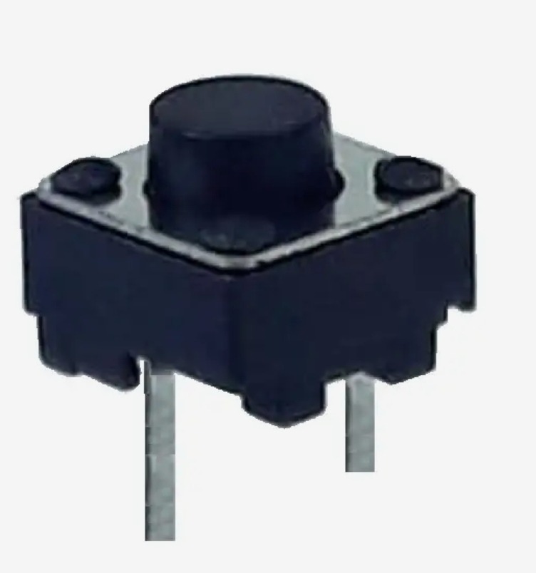 10 عدد میکرو سوئیچ (2 پایه)