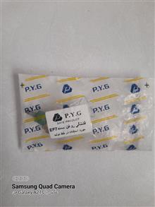 فشنگی