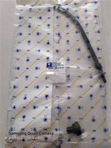 کابل
