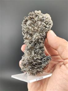 همی