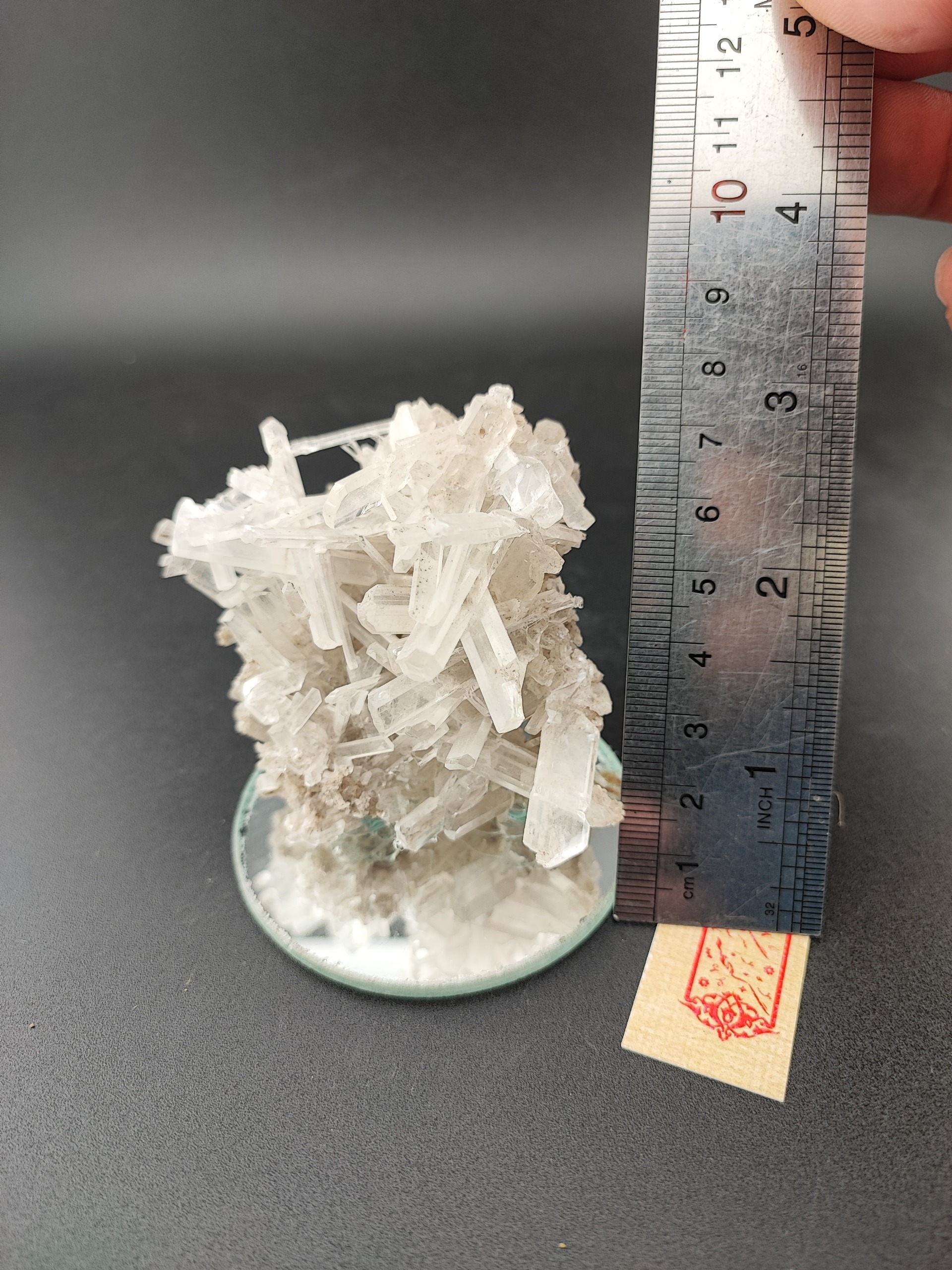 راف کلاستر سلنایت ژیپس