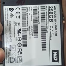 Ssd