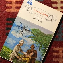 پیروزی