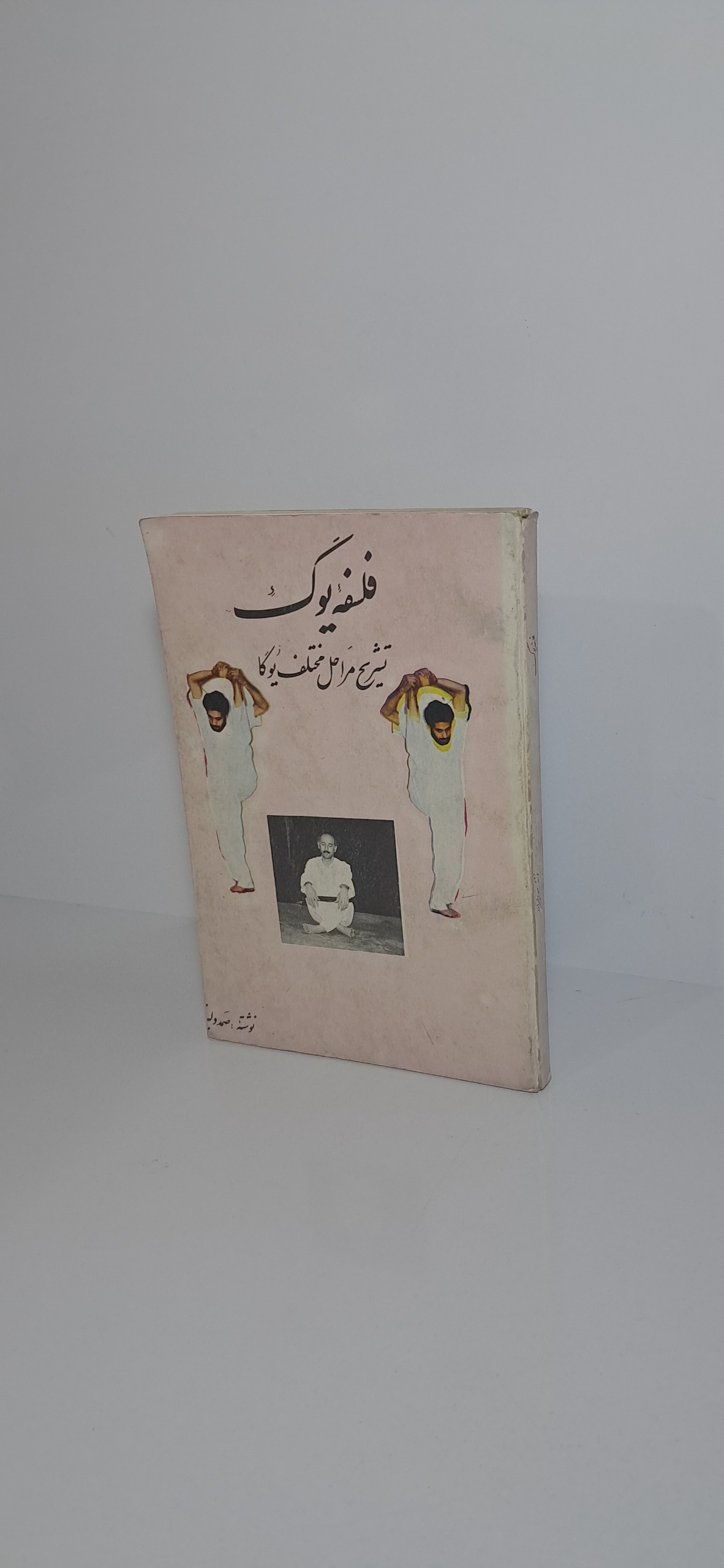 فلسفه یوگ (تشریح مراحل مختلف یوگا)