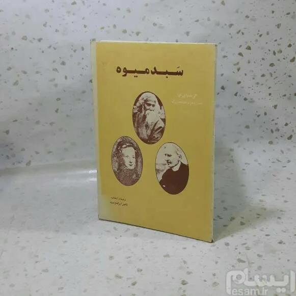 سبد میوه 1371