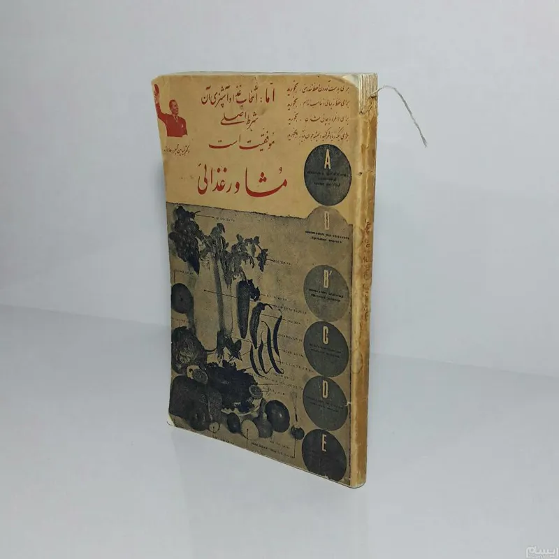 مشاور غذائی 1333