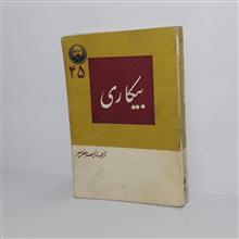 بیکاری