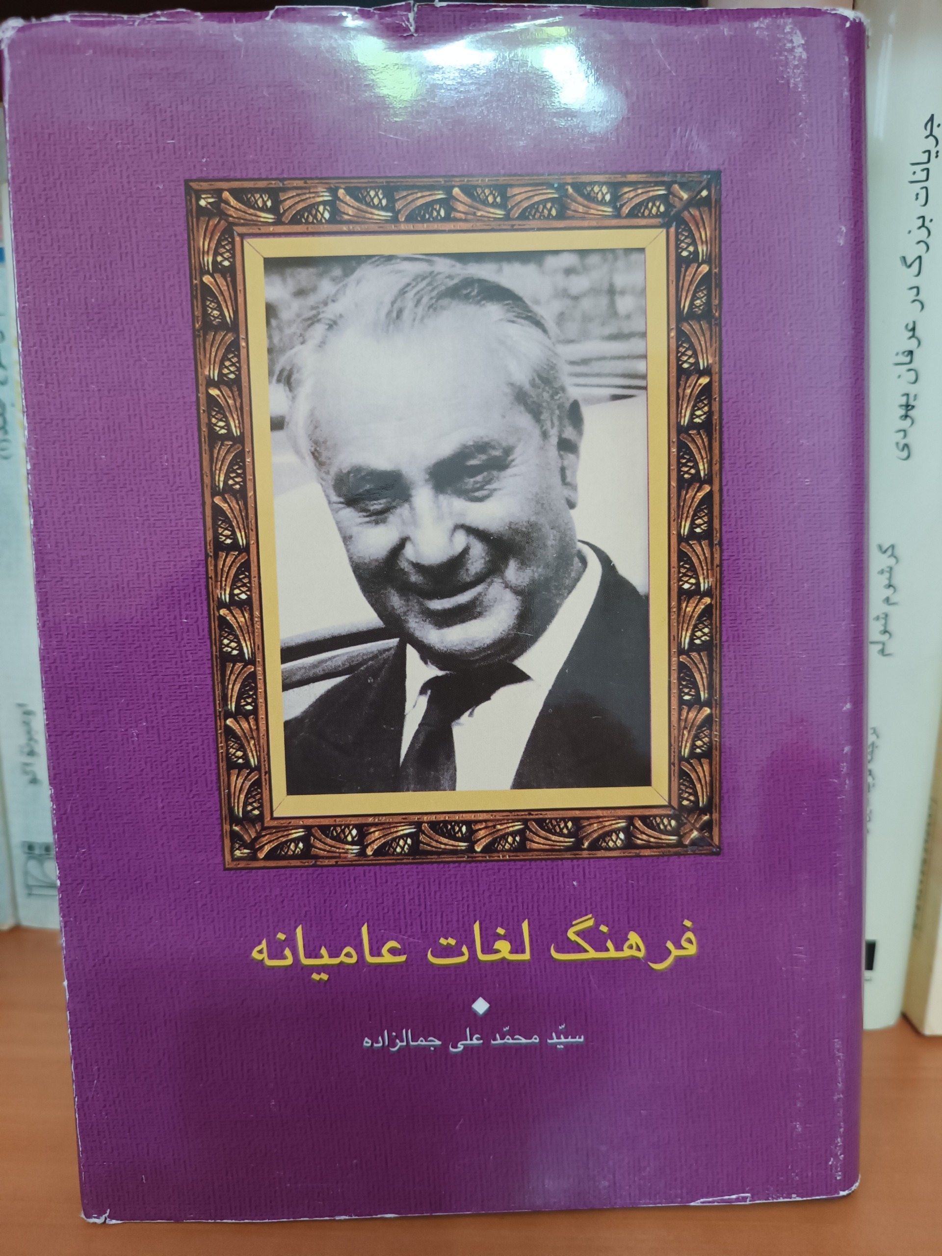 فرهنگ لغات عامیانه