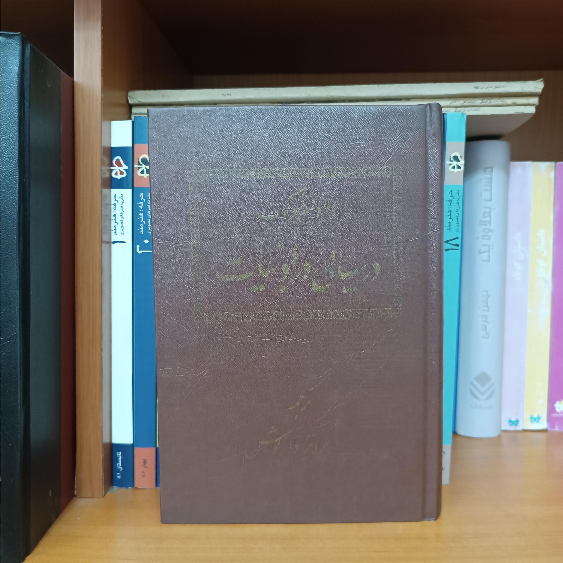 درسهایی در ادبیات ، ولادیمیر ناباکوف