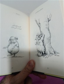 تعالیم