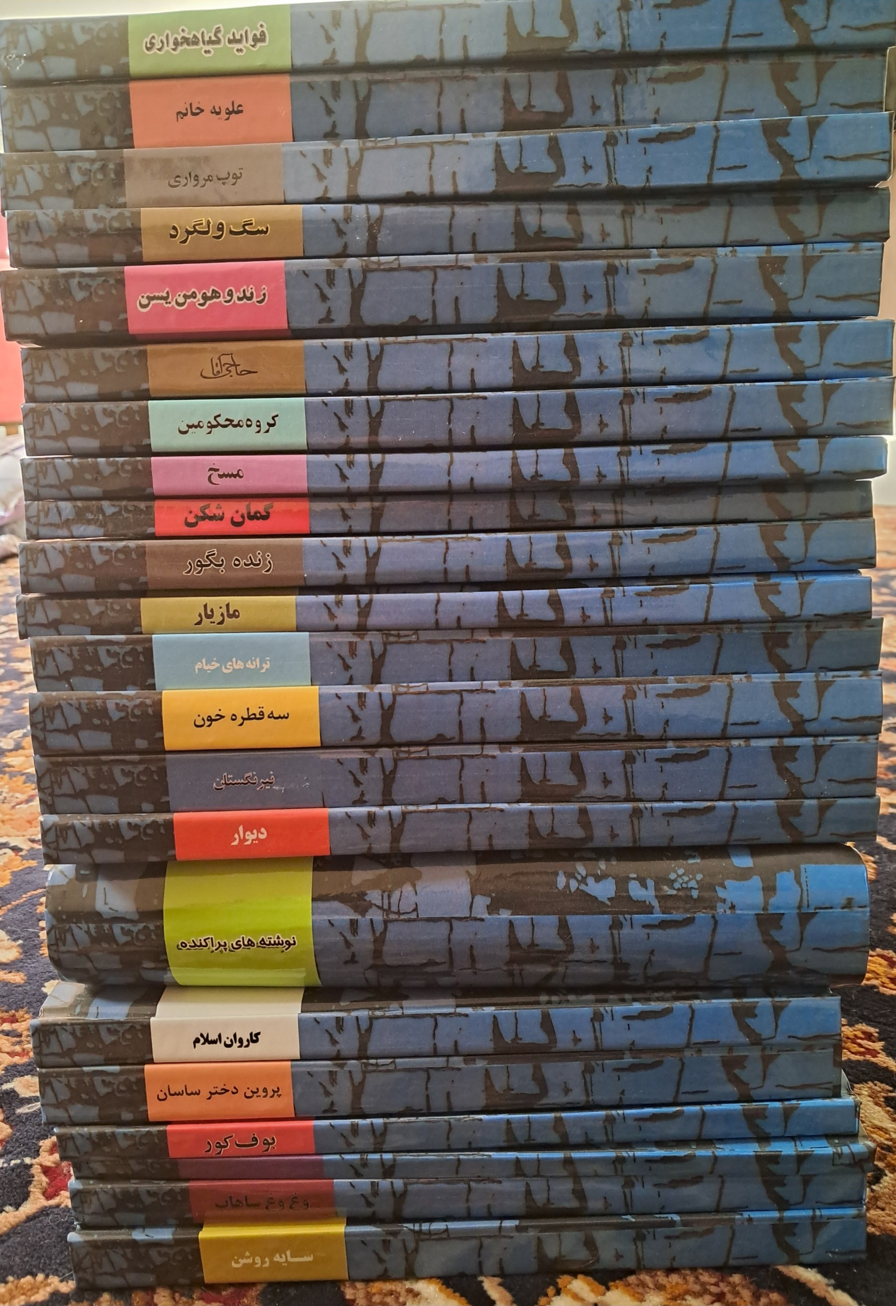 22 جلدی صادق هدایت