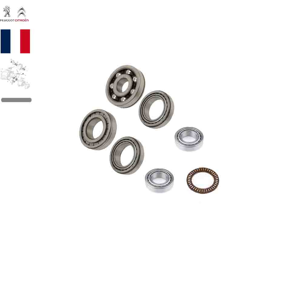 کیت بلبرینگ گیربکس پژو 405 اورجینال