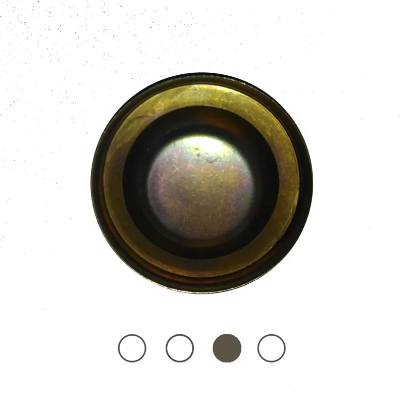 تشتک چرخ عقب پژو 405 (درپوش گریس خور)