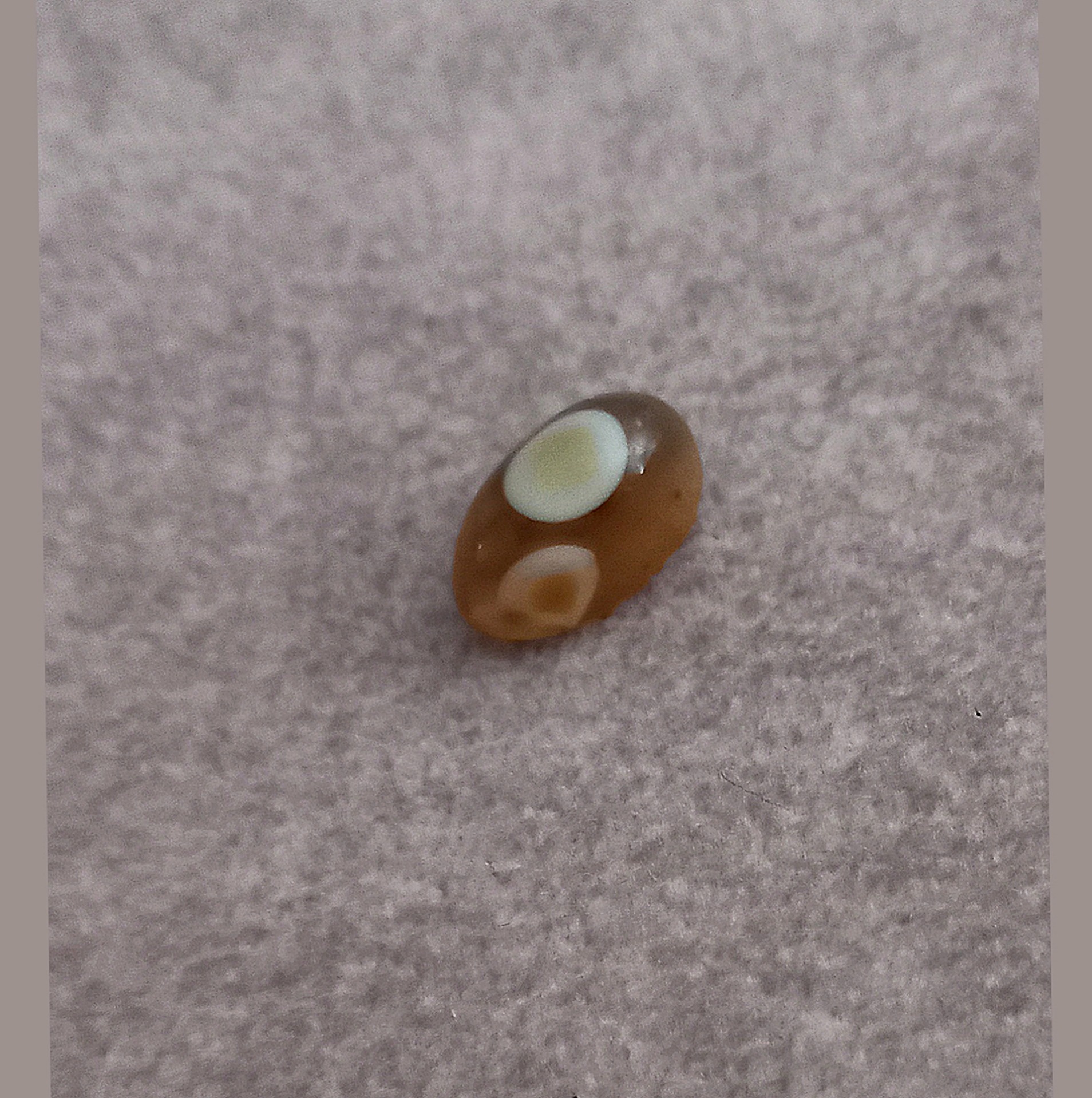 نگین یا سنگ باباقوری اصل